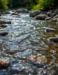Sparkling River Flowing Through Forest