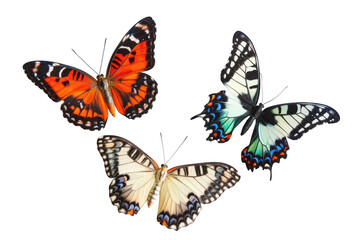 Naklejka premium Butterflies colorful insects art on white background on transparent background