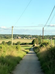 View along, Raikes Lane, with wild plants, mown fields, trees, and buildings, set against a blue sky in, Tong, UK