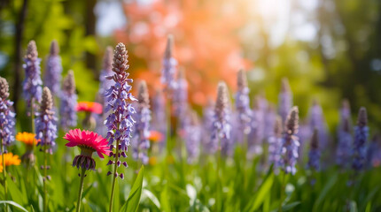 Obraz premium Ai generated image of lavender spires and vibrant pink gerbera dance in the sundrenched meadow