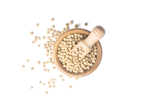 Peanut flying in sack bag, brown grain peanuts throw abstract float. Beautiful complete seed pea peanut sack bag splash in air, food object design. White background isolated high speed shutter freeze