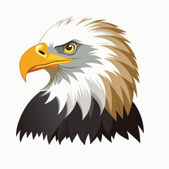 american bald eagle