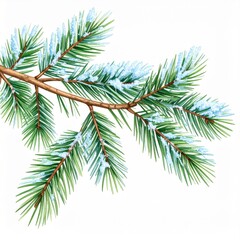 Snow Covered Pine Branch Winter Holiday Nature