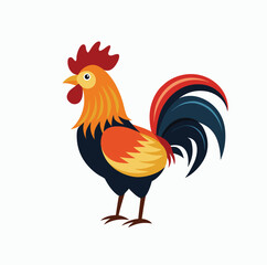 cock isolated on white background