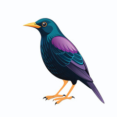 blue bird isolated on white background