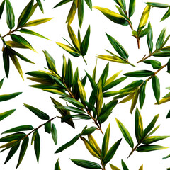 Fototapeta premium Scattered bamboo leaves, elongated and sharp, green with yellowish undertones, scattered naturally on a clean white backdrop, no shadows.