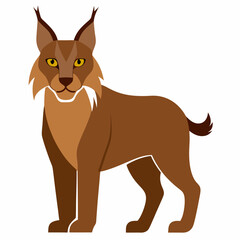 Lynx on white background 