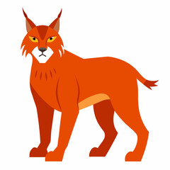 Lynx on white background 