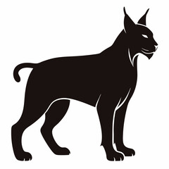 Lynx on white background 