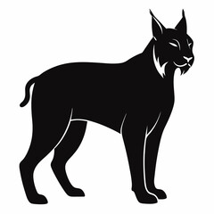 Lynx on white background 