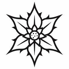 Sea Holly flower on white background 