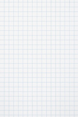 white clean blue checkered paper