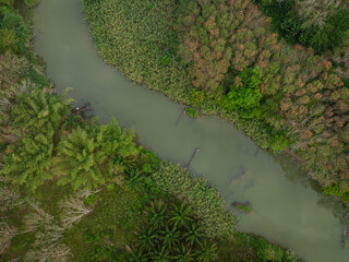 Aerial view green tropical rainforest river curve
