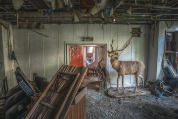 abandoned in hokkaido japan