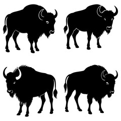 Four black bison silhouettes standing on a white background in a symmetrical arrangement display