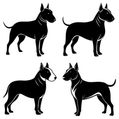 Four bull terrier dogs in black and white standing in different poses on a white background vector art