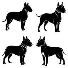 Four black bull terriers in different poses standing on a white background in a vector illustration