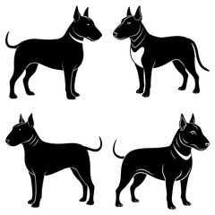 Four black bull terriers in various poses against a white background in a vector illustration style