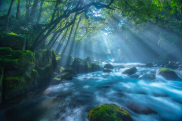 beautiful travel spot in gifu (enbaragawa river)