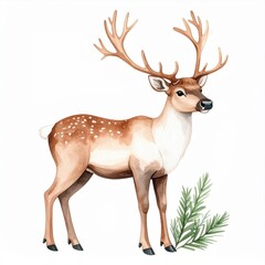 Obraz premium Watercolor Painting of a Brown Deer with Antlers