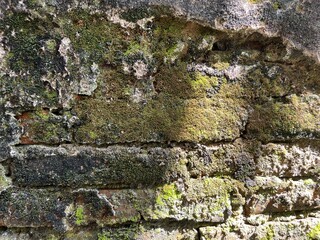 an old wall with thick moss, textured stone wall