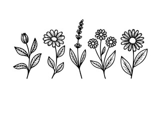 Set monochrome simple leaves botanical branches with stem and foliage vector illustration
