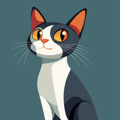 Adorable tuxedo cat with big bright eyes, sitting and looking to the side.