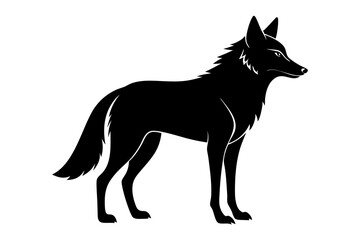 jackal sihouette black vector