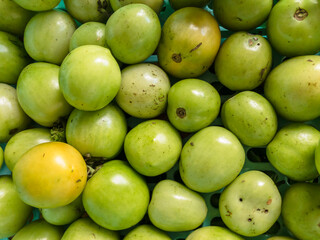 A close-up of fresh green tomatoes piled together, some starting to ripen. Their smooth texture and natural color variations reflect freshness and organic farming.