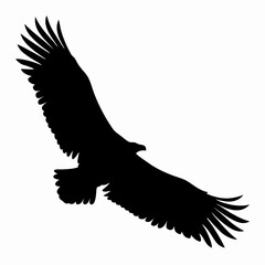 Fototapeta premium Silhouette of Flying Eagle with Spread Wings Isolated on White Background 