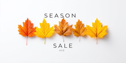Season sale end with autumn leaves in orange and yellow colors arranged in row on white background for seasonal promotion and discount concept