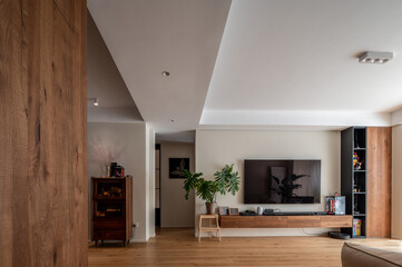 Modern Living Room Interior