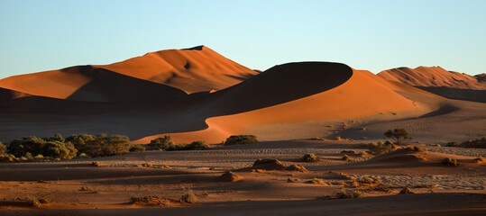 Dune spines are lit by the rising sun in Sossusvlei, Namibia.