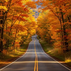 Obraz premium Scenic Autumn Road Through Vibrant Forest