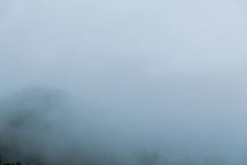 梅雨の季節　朝霧に覆われた山の木々06