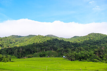Landscape mountains white clouds and rice terraces on blue sky background