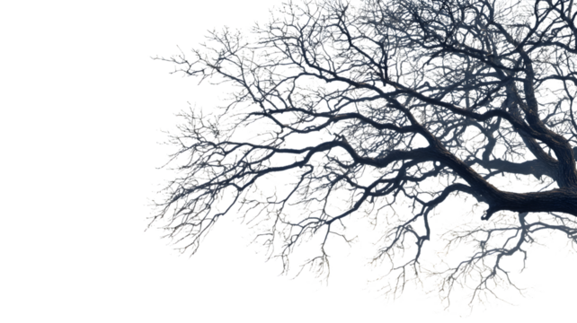 Branching silhouette of a winter tree against a textured geometric abstract transparent background - Powered by Adobe