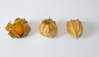 白いマット背景に繊細に並べられた3つのホオズキが薄い紙のような萼を部分的に開き、ナチュラルで柔らかな質感を漂わせる

