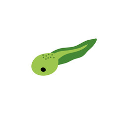 Cartoon green tadpoles vector illustration 