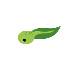 Cartoon green tadpoles vector illustration 