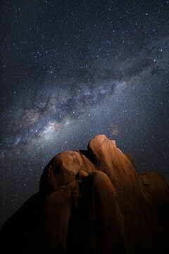 A small tree grows from a granite rock formation under the Milky Way, Spitzkoppe, Namibia.
