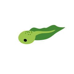 Cartoon green tadpoles vector illustration 
