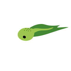 Cartoon green tadpoles vector illustration 