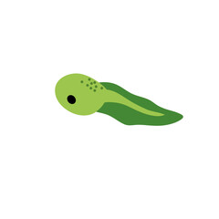 Cartoon green tadpoles vector illustration 