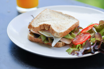 ham and cheese sandwich or egg sandwich with salad