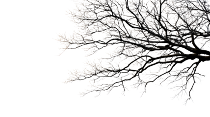 Abstract tree branches reaching across geometric cityscape design illustration transparent