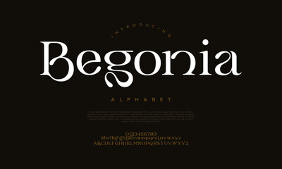 Fototapeta premium Decorative serif font with soft curves and artistic flourishes, ideal for luxury branding and feminine design