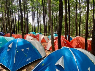touristic tent in the forest