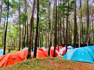 camping in the forest