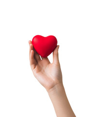 Obraz premium A hand holding a red heart